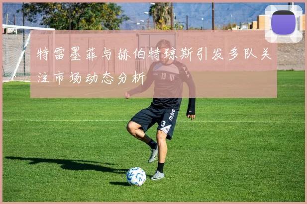 特雷墨菲与赫伯特琼斯引发多队关注市场动态分析